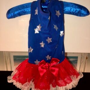 Starry Blue and Red Dog Dress